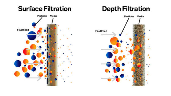 Purificatore d'acqua a membrana RO a 5 fasi bianco e serbatoio da 3,2 g per la filtrazione dell'acqua domestica