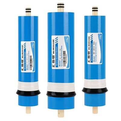 True Hepa Filter 400 GPD Membrana Ro ad alta densità con muffe private