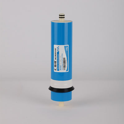Potente 150W rimozione di ioni metallici filtro dell'acqua membrana di osmosi inversa per le imprese