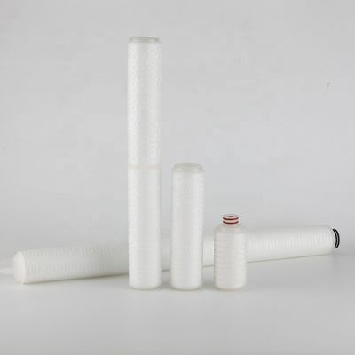 Cartuccia di filtro a membrana assoluta sterilizzata a 0,22 micron ricambiabile 10 pollici