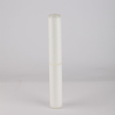 20 pollici di filtro plissato con membrana PTFE da 0,22 0,45 micron e supporto tecnico video