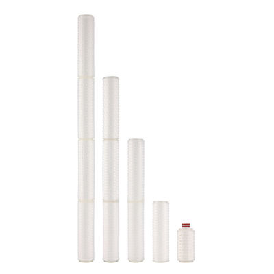 0.1 Micron Pleated Cartridge Filter per Apis sterili da 4 a 40 pollici